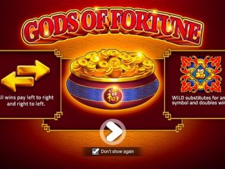 Cara Bermain Slot Fortune Gods